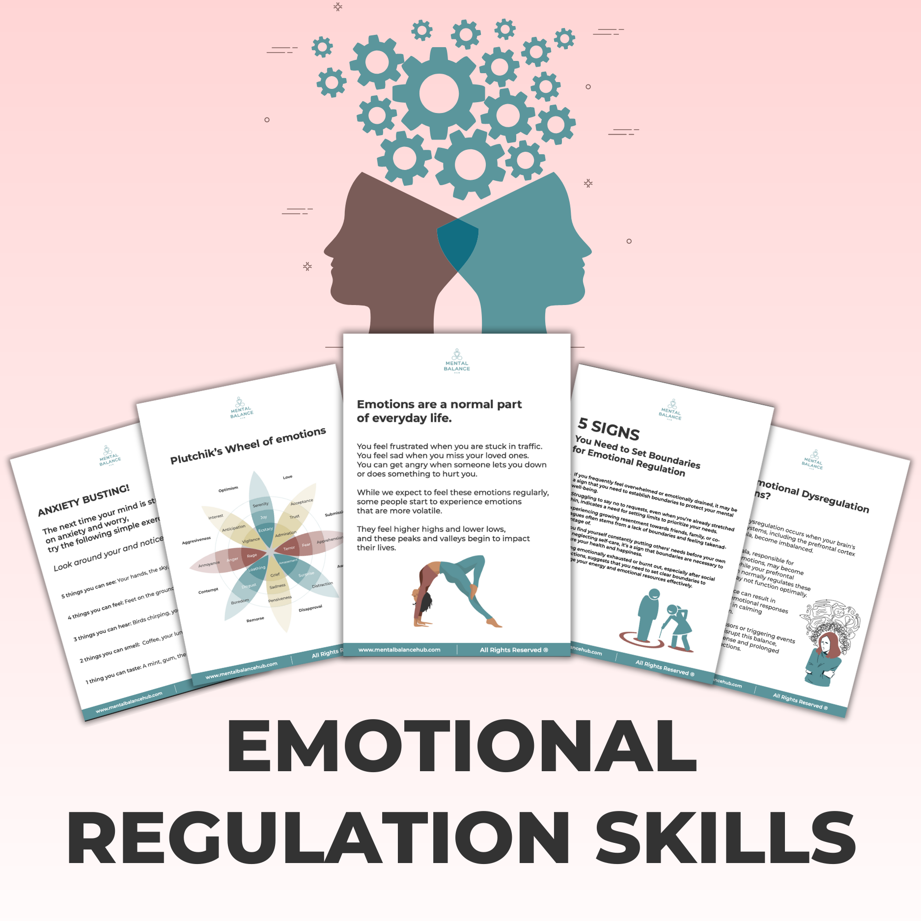 Emotional Regulation Skills